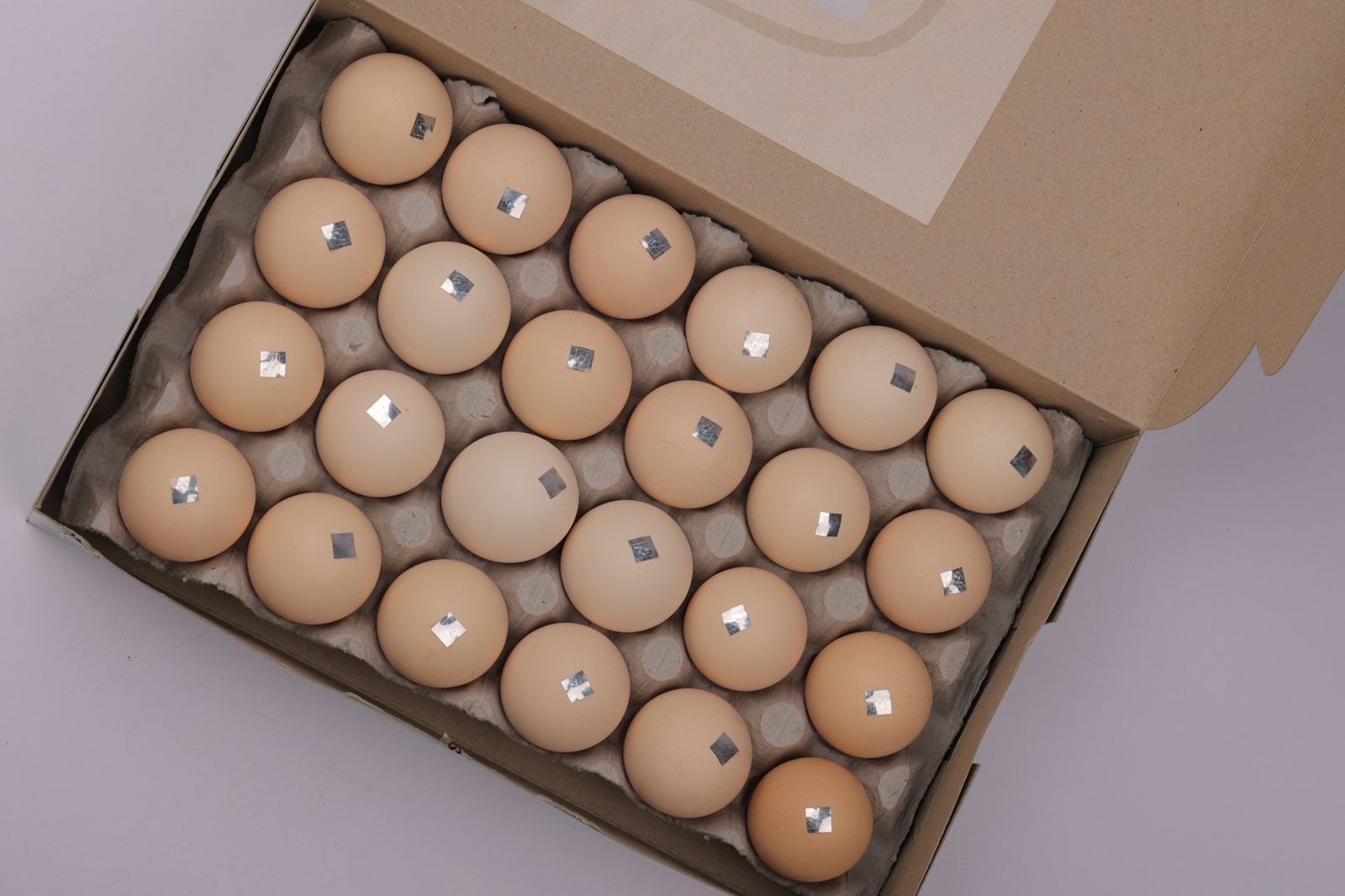Kadaknath Eggs